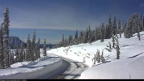 Webcams in Mount Rainier National Park